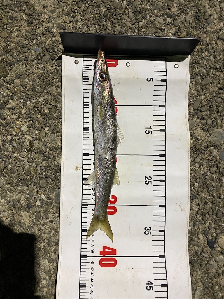 f:id:yasutsuchi2:20200409124156j:image