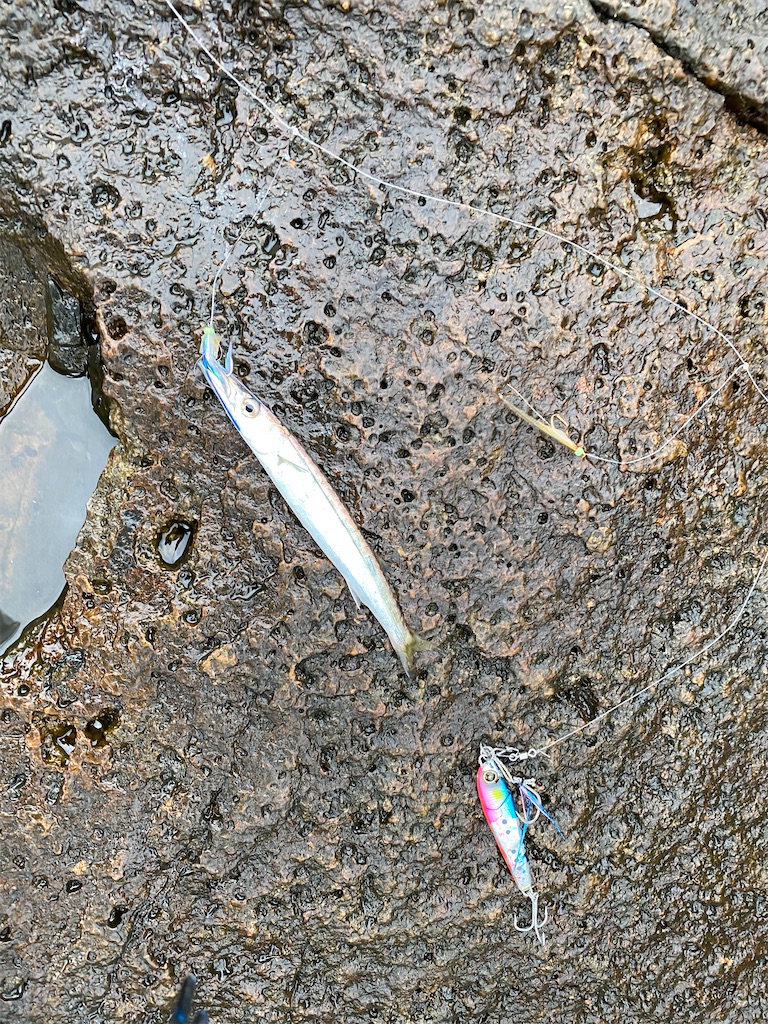 f:id:yasutsuchi2:20200525135624j:image