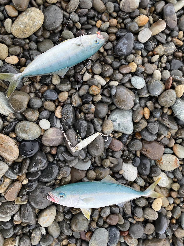 f:id:yasutsuchi2:20200702175854j:image f:id:yasutsuchi2:20200702175854j:image