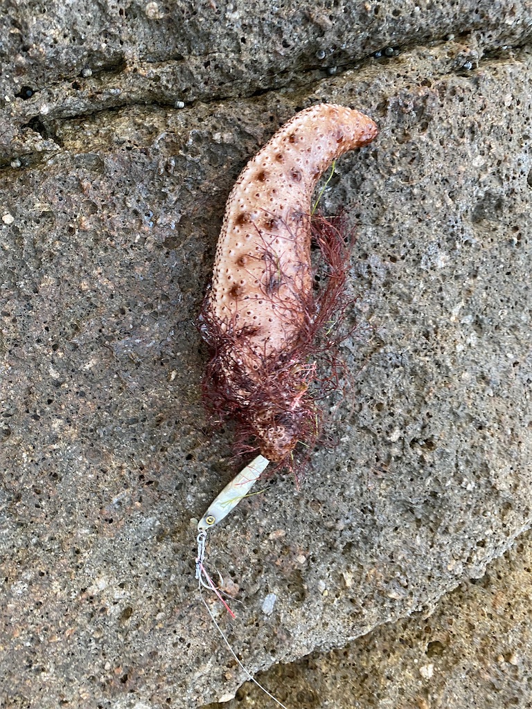 f:id:yasutsuchi2:20200913154158j:image f:id:yasutsuchi2:20200913154158j:image