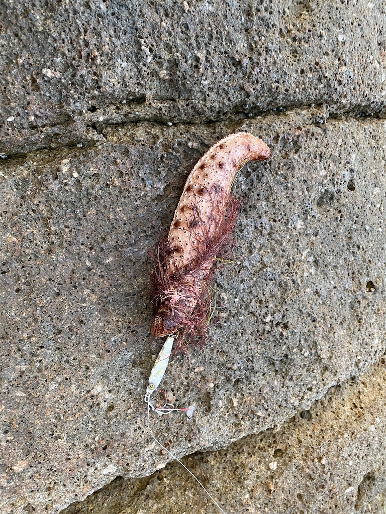 f:id:yasutsuchi2:20200913154207j:image f:id:yasutsuchi2:20200913154207j:image