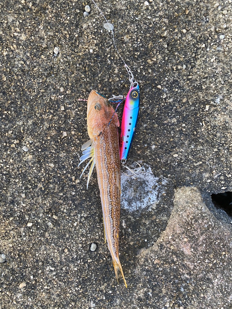 f:id:yasutsuchi2:20201014203726j:image f:id:yasutsuchi2:20201014203726j:image