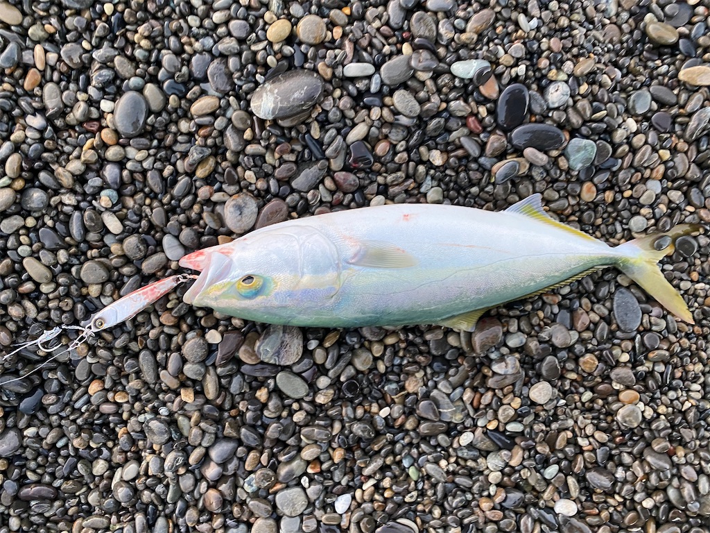 f:id:yasutsuchi2:20201015135851j:image f:id:yasutsuchi2:20201015135851j:image