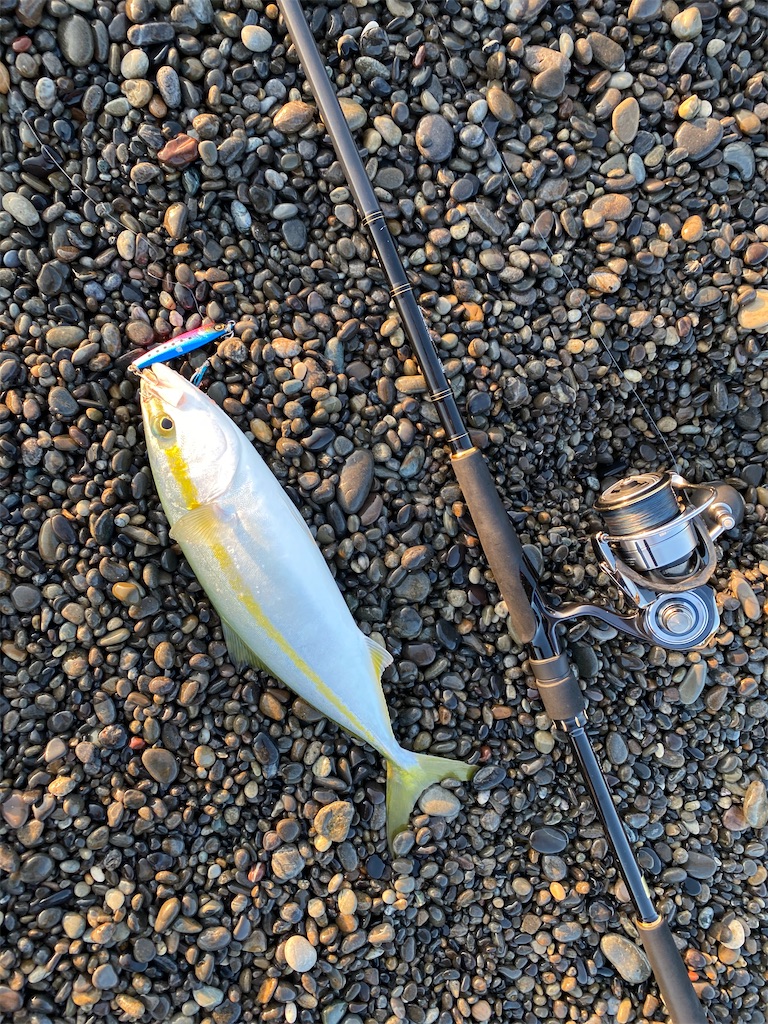 f:id:yasutsuchi2:20201015193744j:image f:id:yasutsuchi2:20201015193744j:image