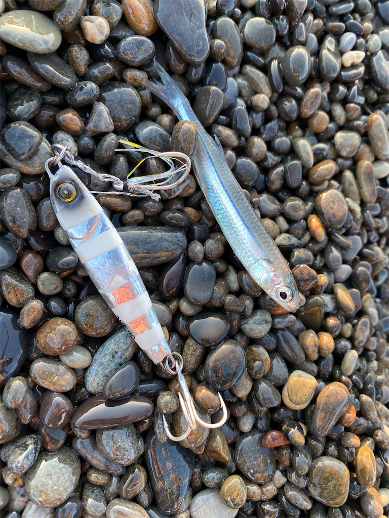 f:id:yasutsuchi2:20201015194809j:image f:id:yasutsuchi2:20201015194809j:image