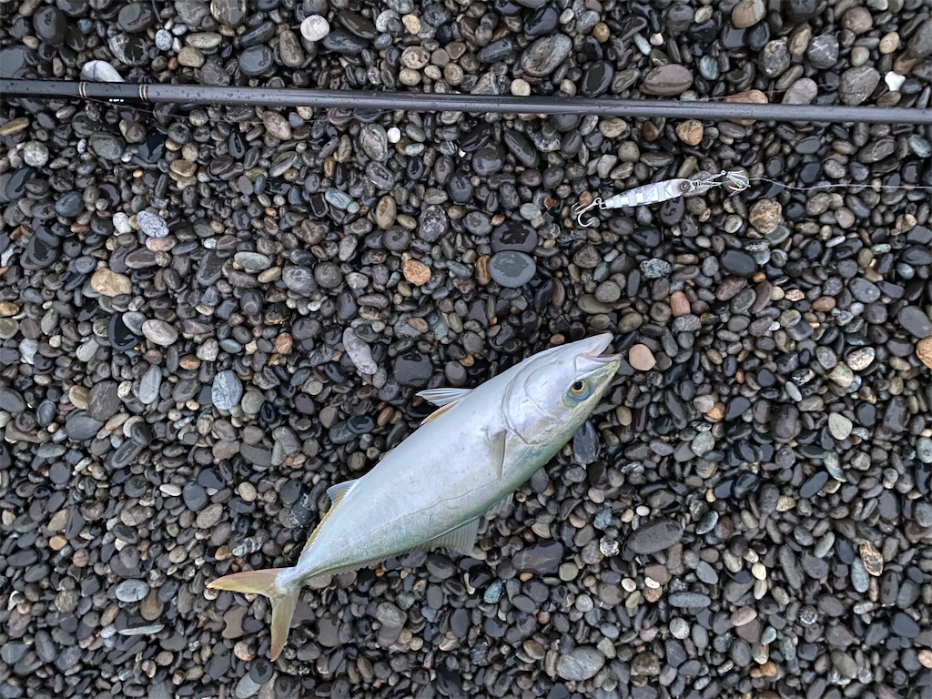 f:id:yasutsuchi2:20201017172741j:image f:id:yasutsuchi2:20201017172741j:image