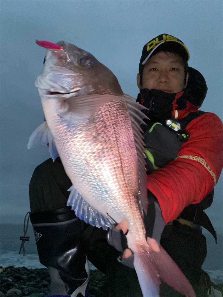 f:id:yasutsuchi2:20201107114039j:plain