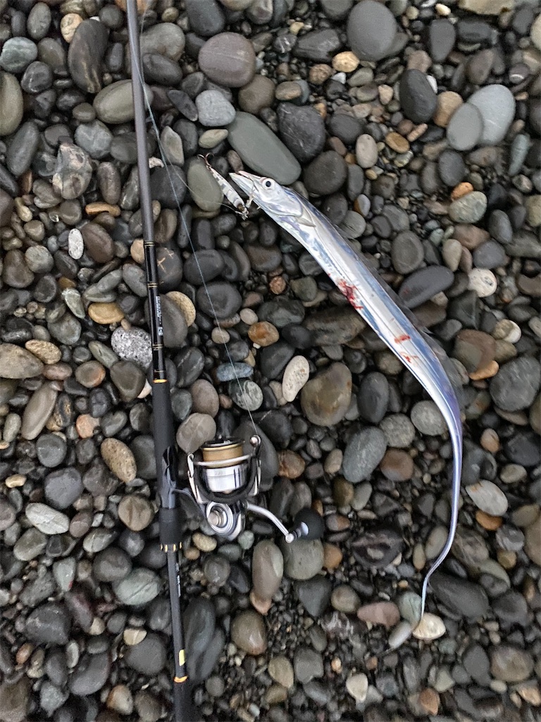 f:id:yasutsuchi2:20201120210857j:image f:id:yasutsuchi2:20201120210857j:image