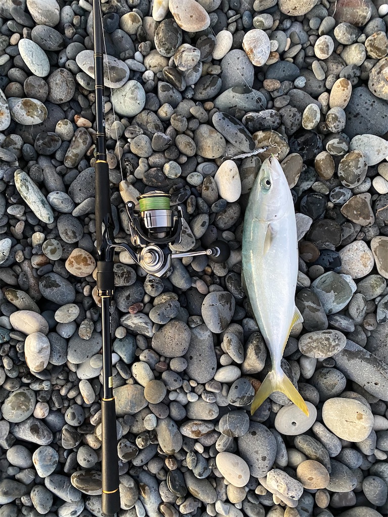 f:id:yasutsuchi2:20201124133144j:image f:id:yasutsuchi2:20201124133144j:image