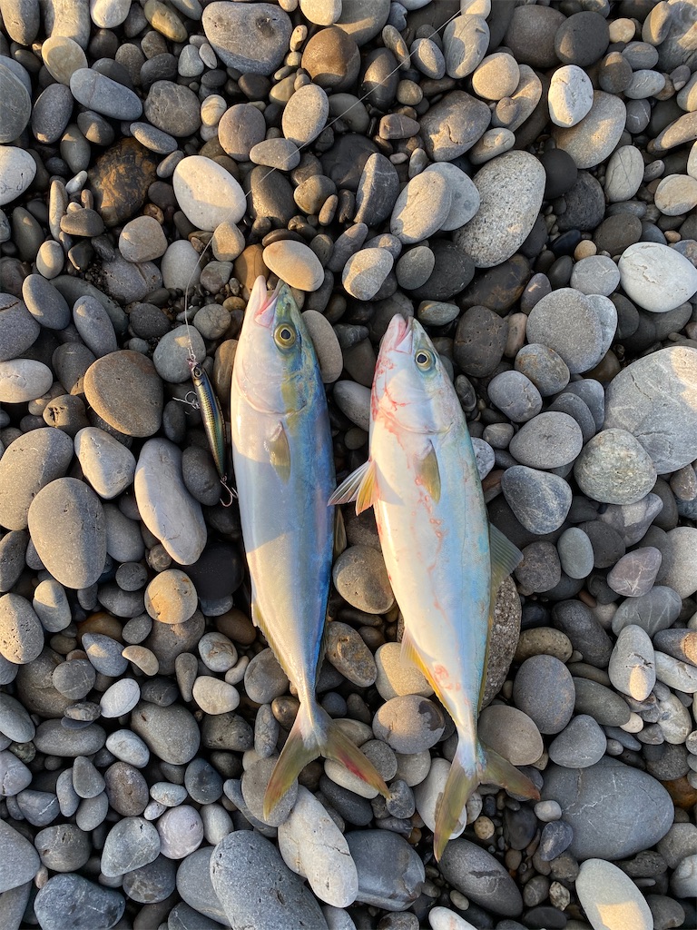 f:id:yasutsuchi2:20201206161227j:image f:id:yasutsuchi2:20201206161227j:image