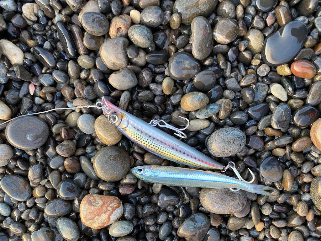 f:id:yasutsuchi2:20201211090222j:image f:id:yasutsuchi2:20201211090222j:image