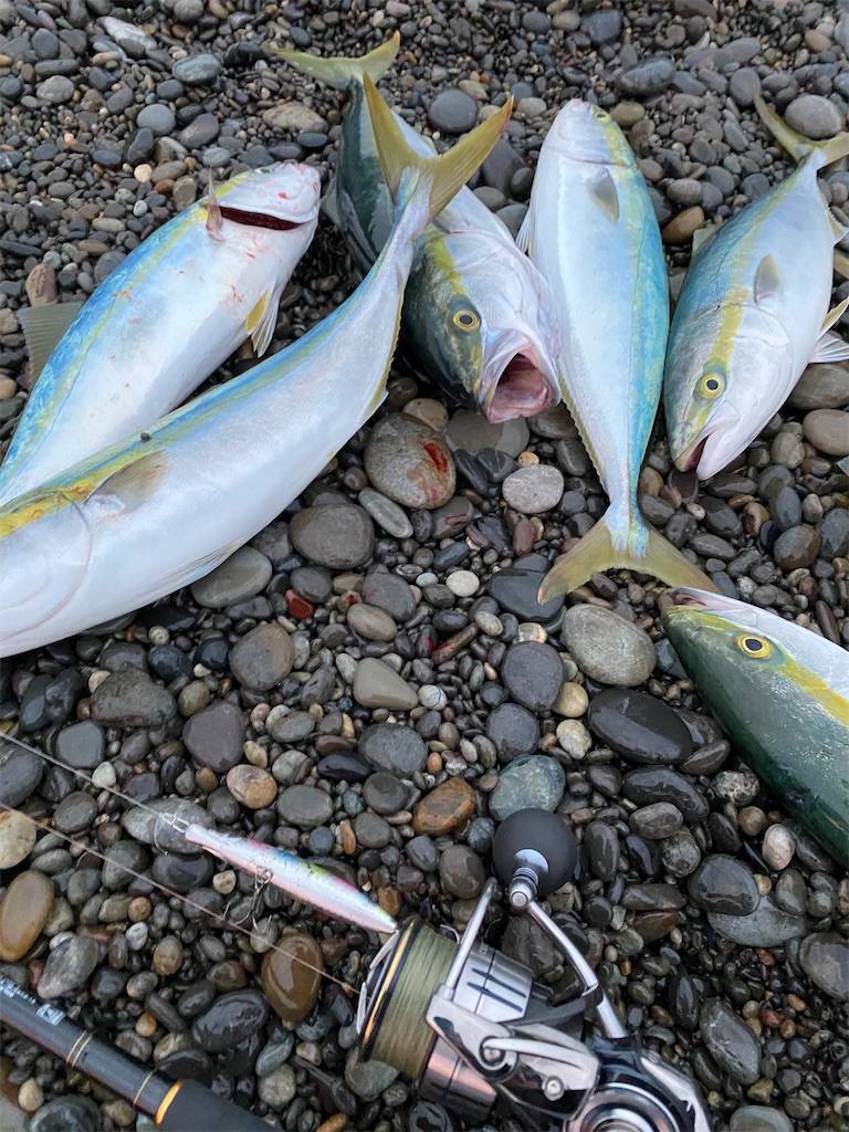 f:id:yasutsuchi2:20201211091757j:image f:id:yasutsuchi2:20201211091757j:image