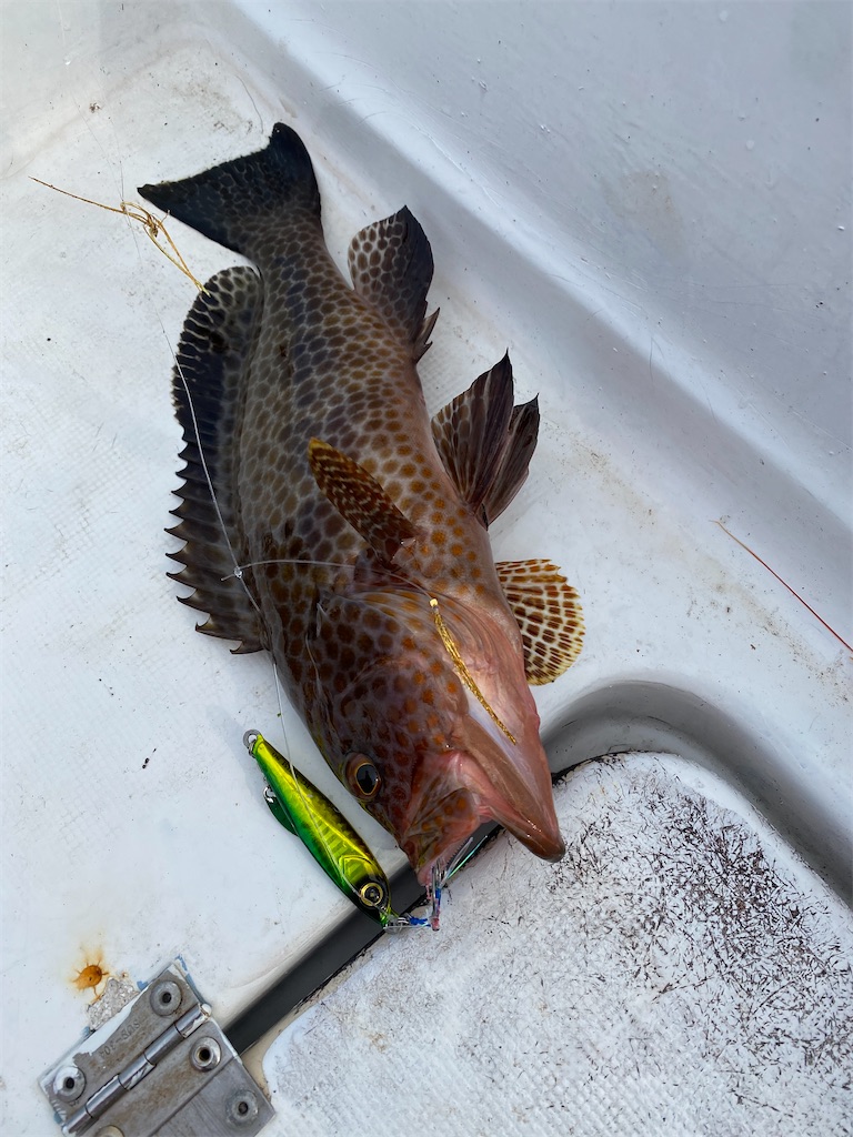 f:id:yasutsuchi2:20201230220230j:image f:id:yasutsuchi2:20201230220230j:image