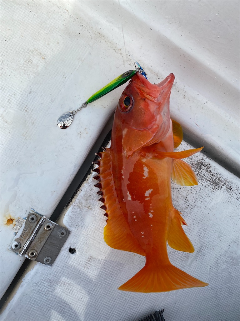 f:id:yasutsuchi2:20201230221011j:image f:id:yasutsuchi2:20201230221011j:image