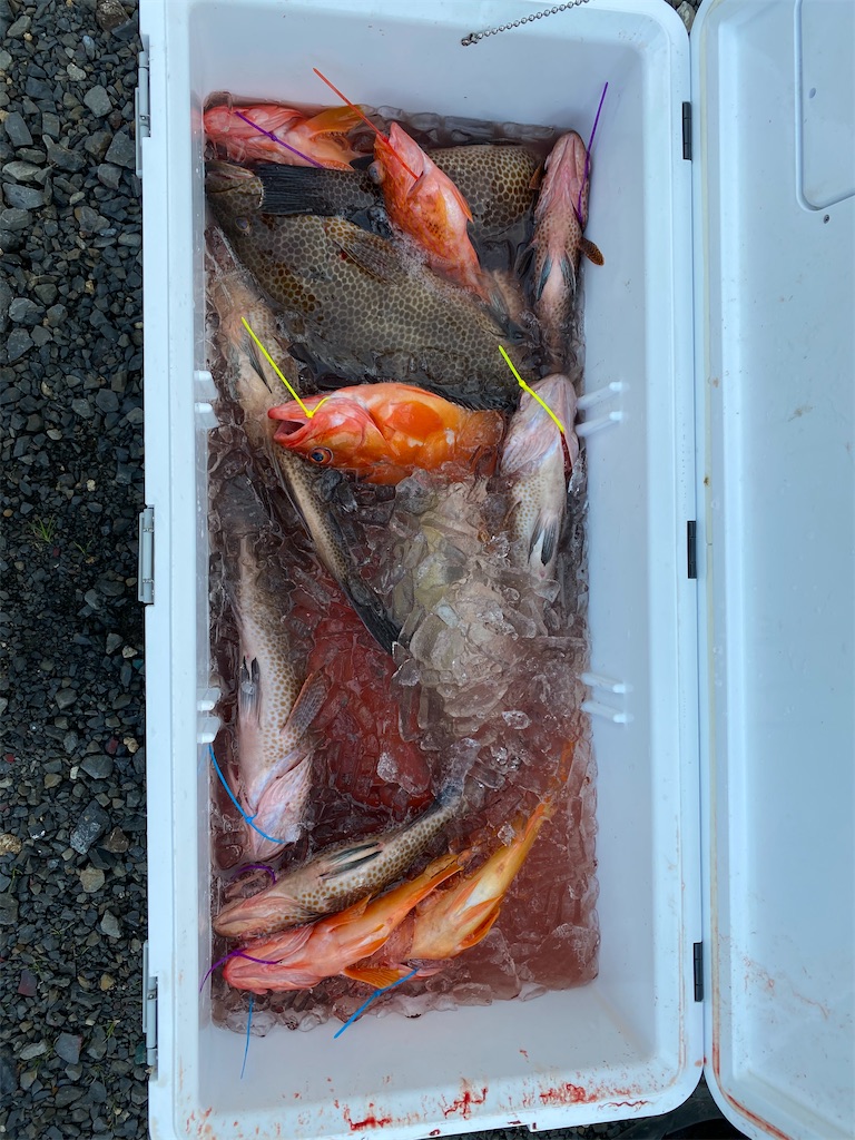 f:id:yasutsuchi2:20201230222638j:image f:id:yasutsuchi2:20201230222638j:image