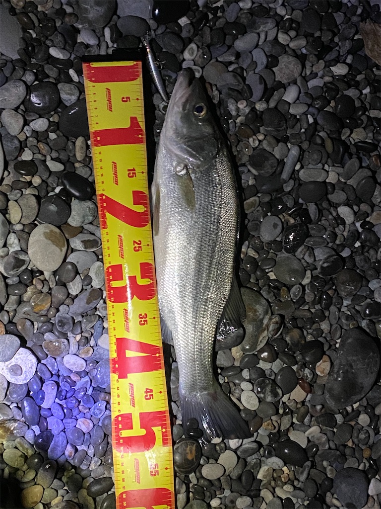 f:id:yasutsuchi2:20210115190210j:image f:id:yasutsuchi2:20210115190210j:image