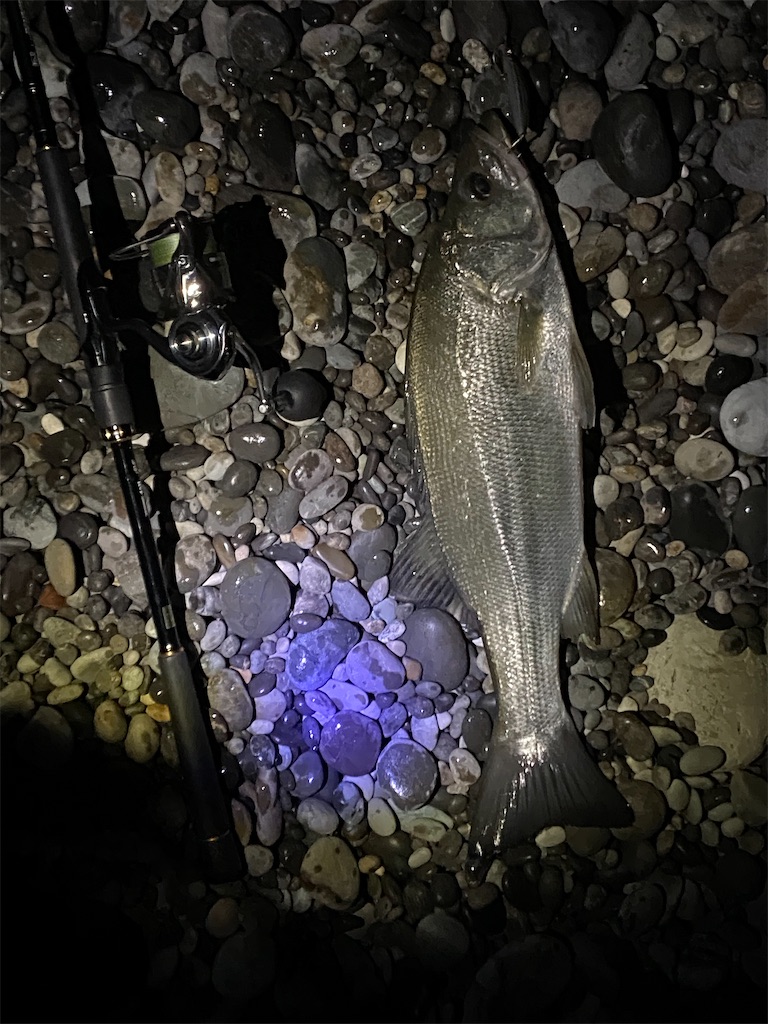 f:id:yasutsuchi2:20210115190230j:image f:id:yasutsuchi2:20210115190230j:image