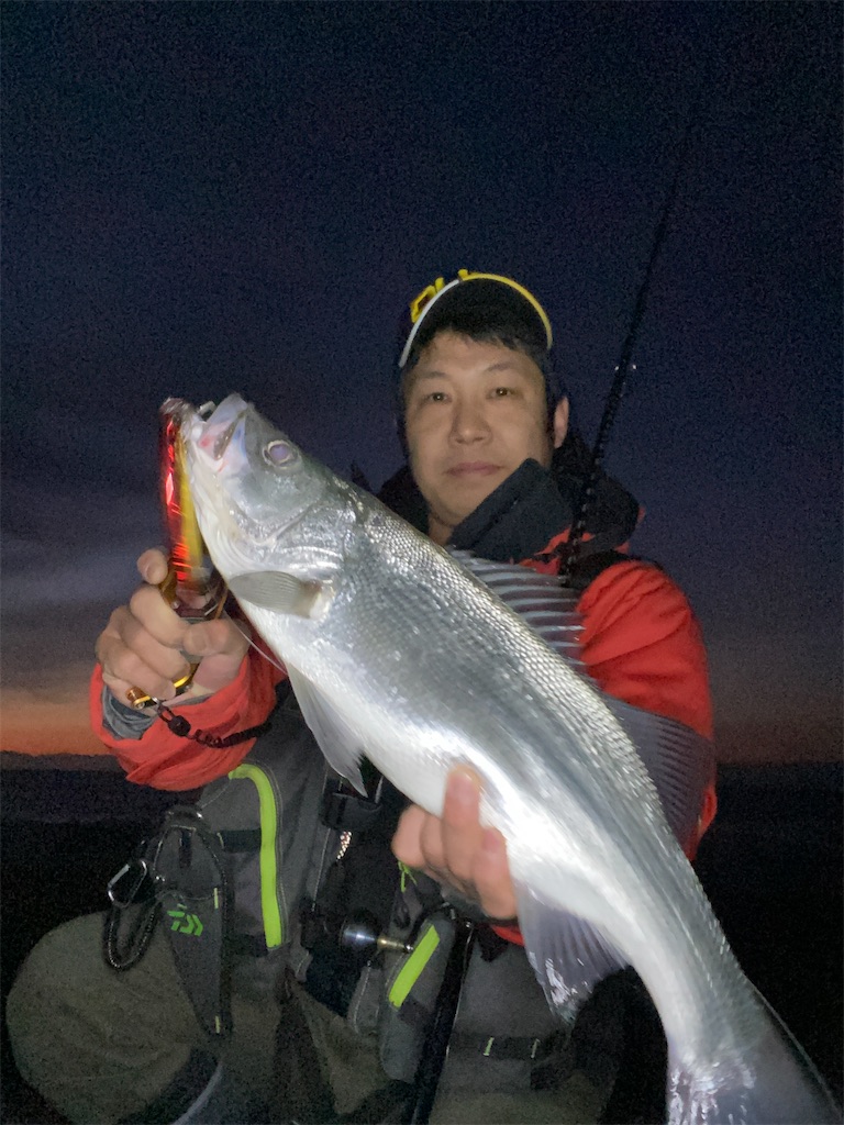 f:id:yasutsuchi2:20210125184608j:image