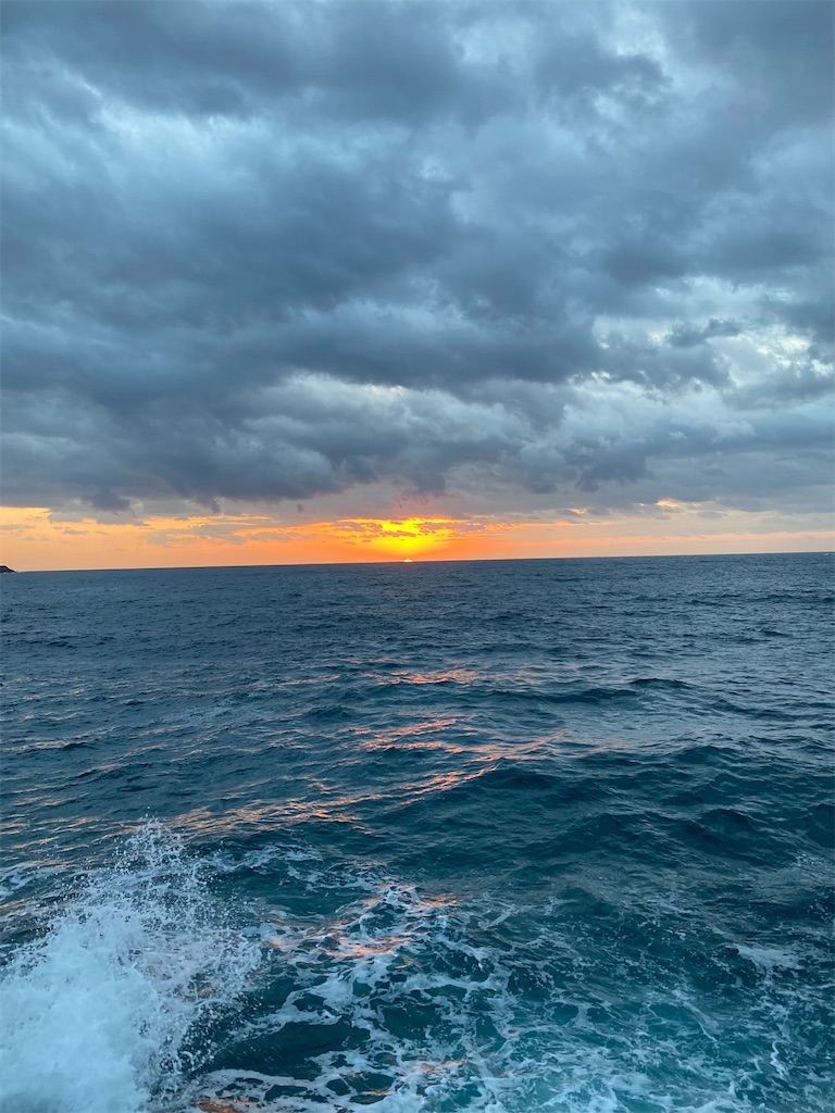 f:id:yasutsuchi2:20210126224844j:image