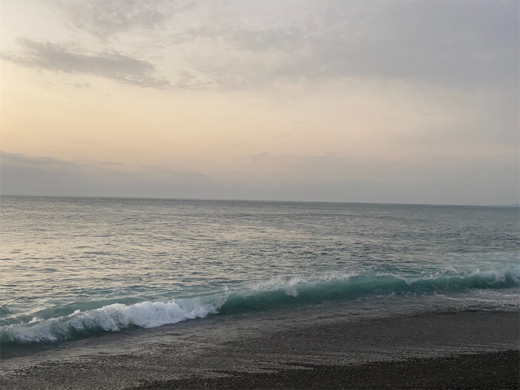 f:id:yasutsuchi2:20210128223926j:image f:id:yasutsuchi2:20210128223926j:image