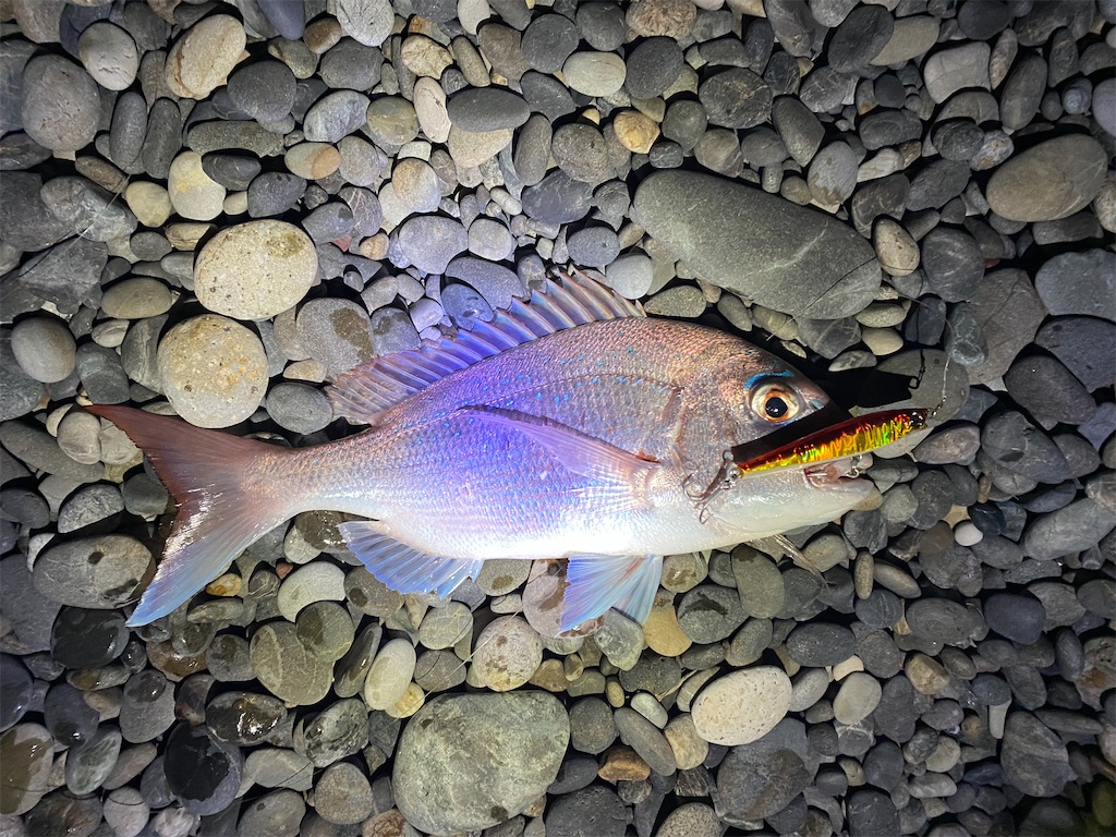 f:id:yasutsuchi2:20210205222901j:image f:id:yasutsuchi2:20210205222901j:image