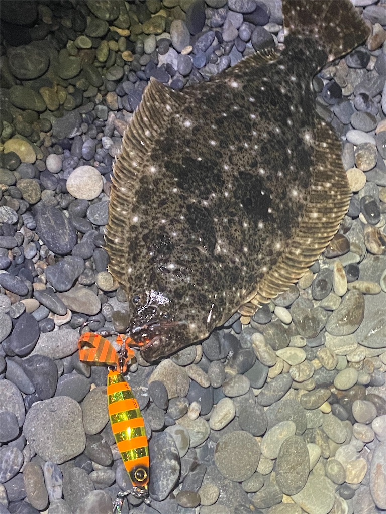 f:id:yasutsuchi2:20210210230007j:image f:id:yasutsuchi2:20210210230007j:image