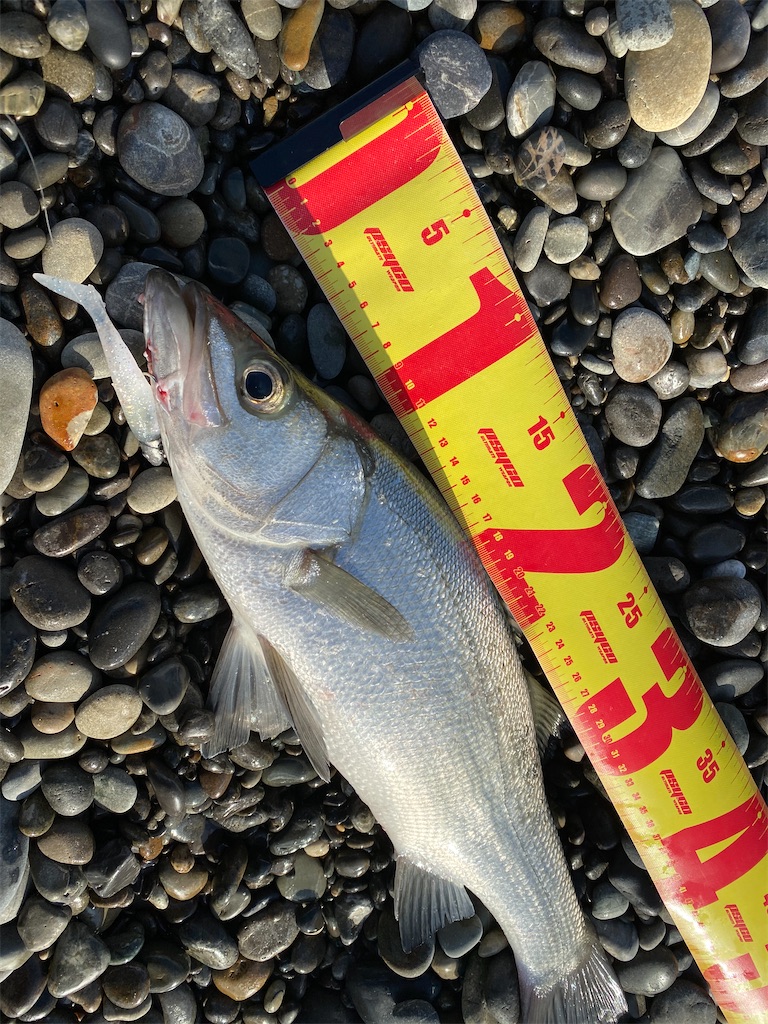 f:id:yasutsuchi2:20210214162407j:image f:id:yasutsuchi2:20210214162407j:image