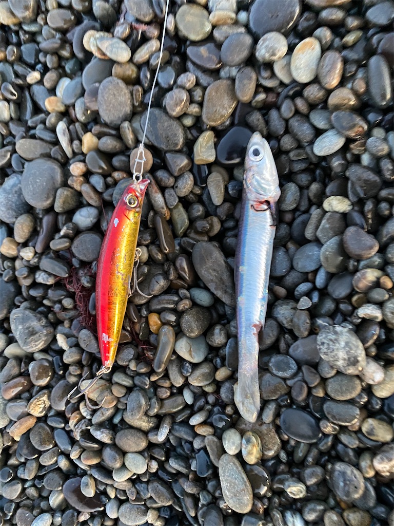 f:id:yasutsuchi2:20210216215610j:image f:id:yasutsuchi2:20210216215610j:image