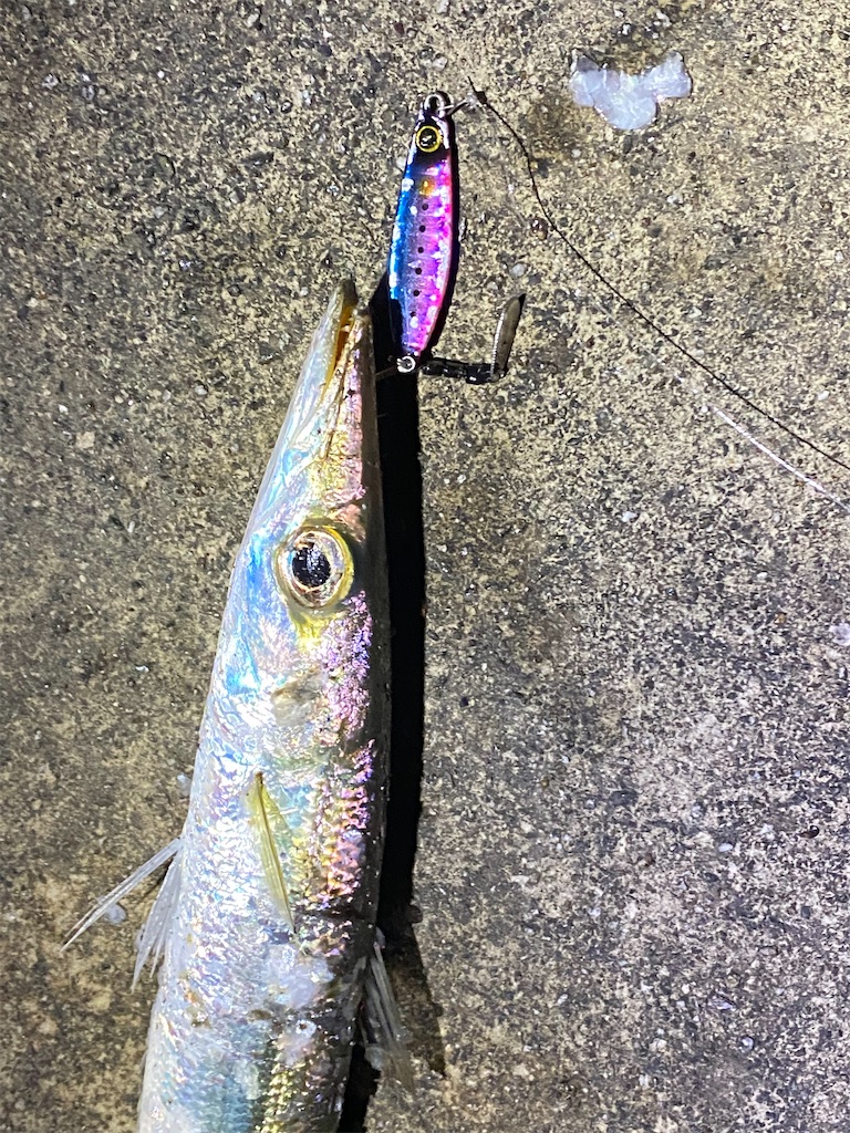 f:id:yasutsuchi2:20210222172213j:image f:id:yasutsuchi2:20210222172213j:image