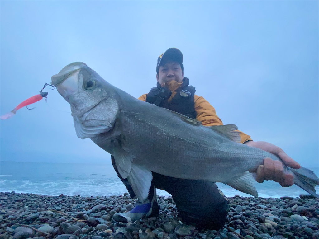 f:id:yasutsuchi2:20210312110511j:image