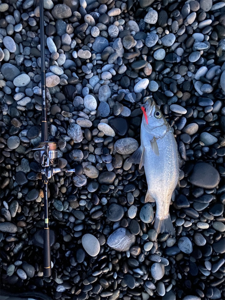 f:id:yasutsuchi2:20210409211742j:image