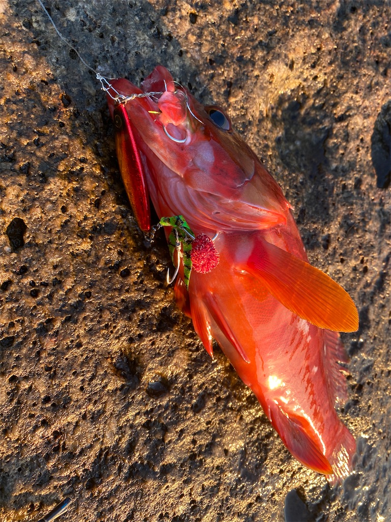 f:id:yasutsuchi2:20210503200952j:image f:id:yasutsuchi2:20210503200952j:image