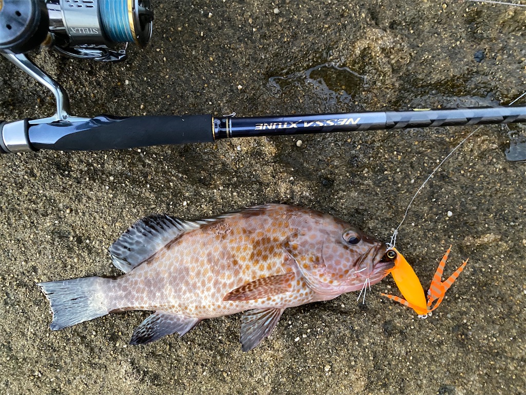 f:id:yasutsuchi2:20210503201001j:image f:id:yasutsuchi2:20210503201001j:image