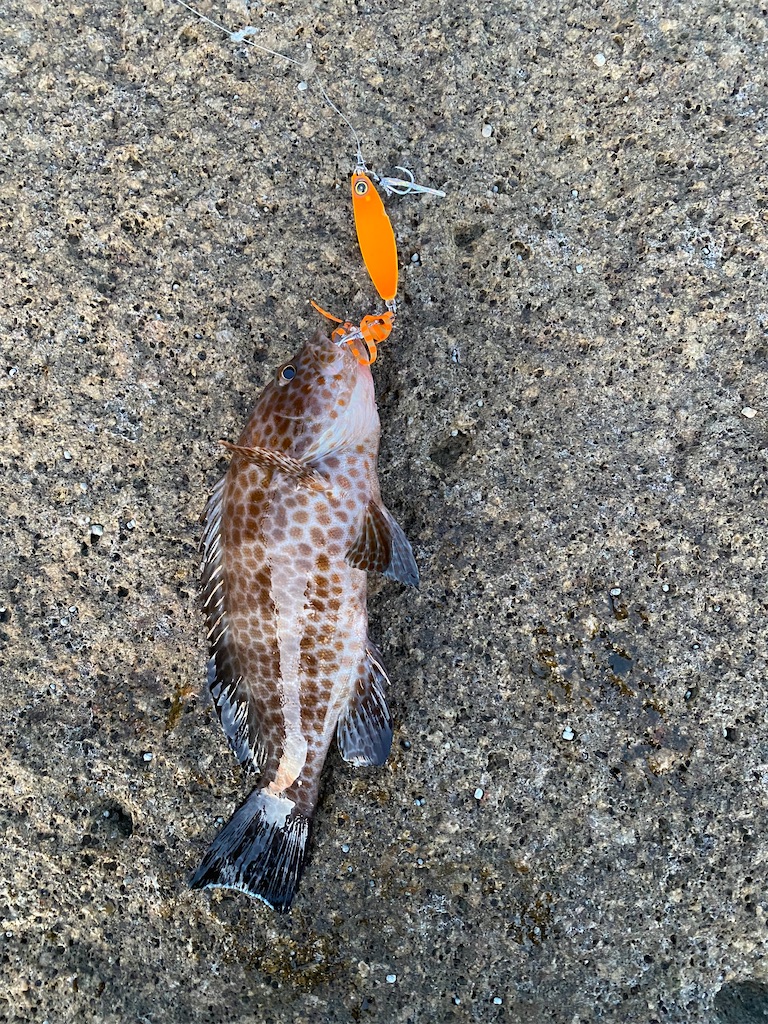 f:id:yasutsuchi2:20210503201036j:image f:id:yasutsuchi2:20210503201036j:image