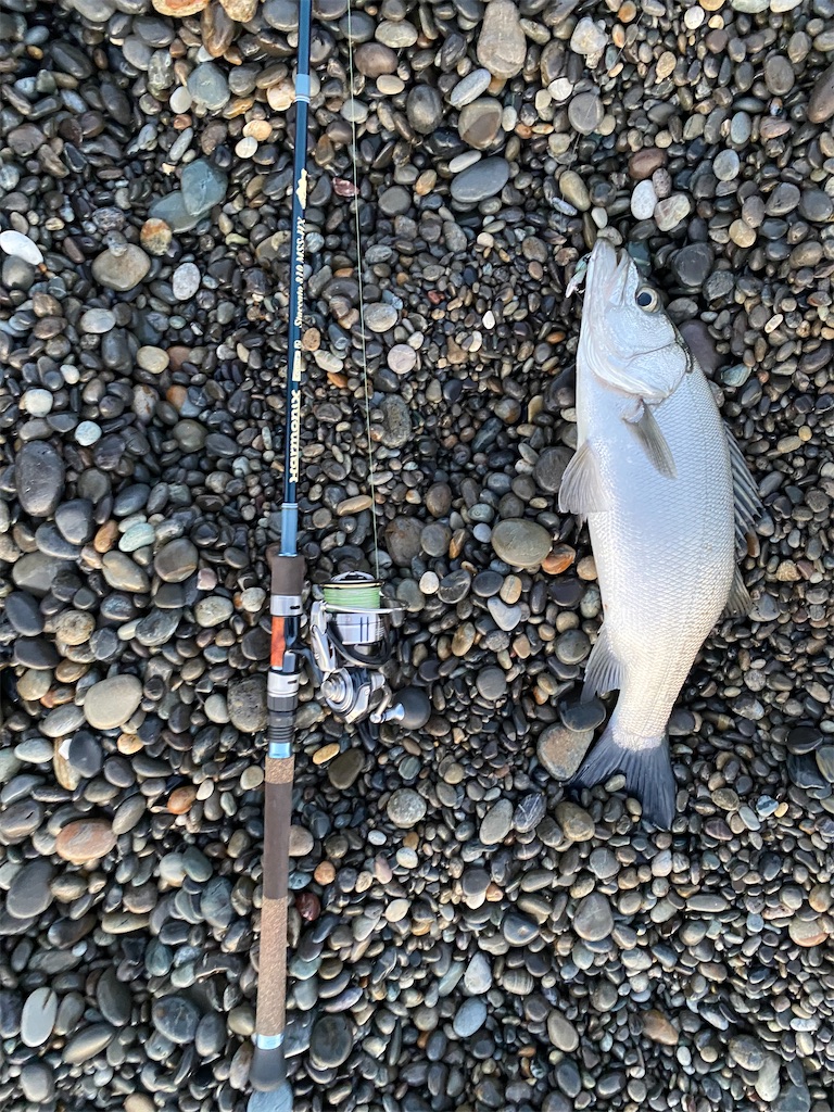 f:id:yasutsuchi2:20210506170131j:image