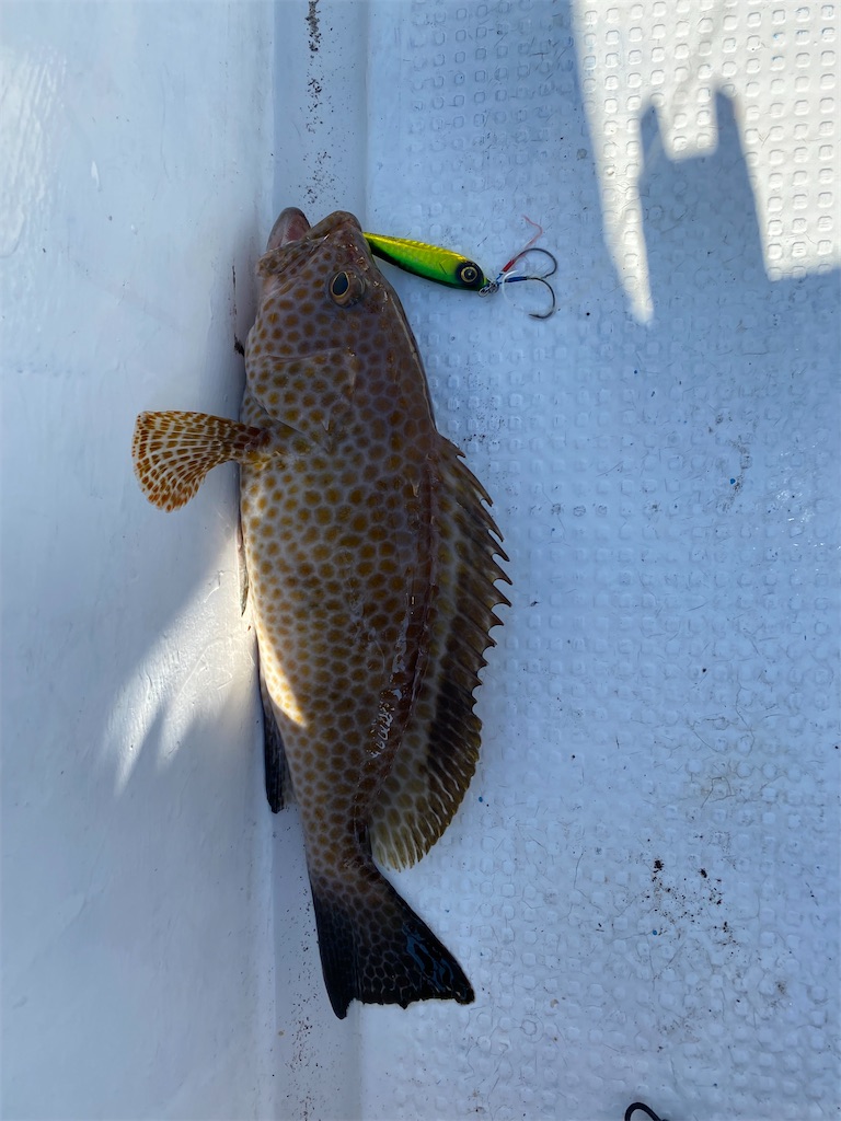 f:id:yasutsuchi2:20210525173212j:image