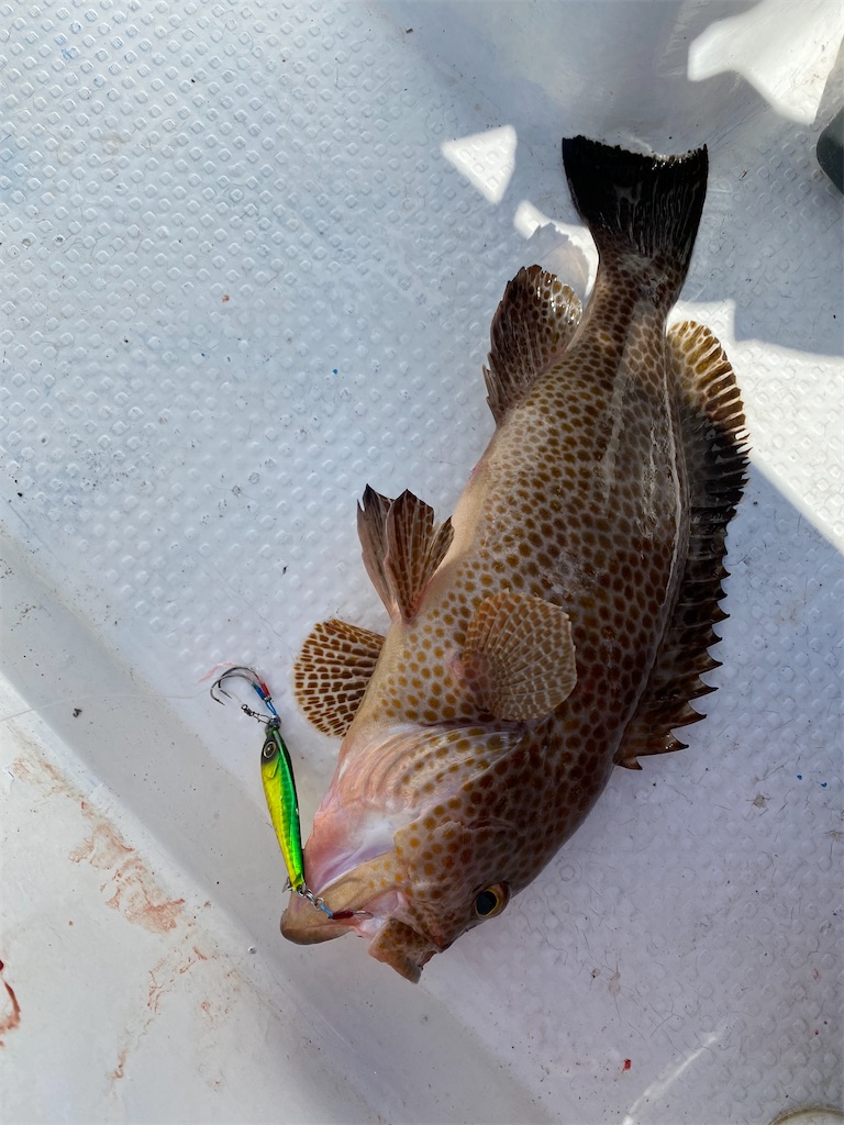 f:id:yasutsuchi2:20210525173230j:image