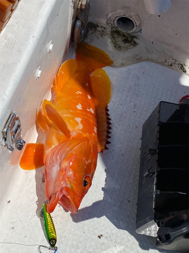 f:id:yasutsuchi2:20210525173438j:image