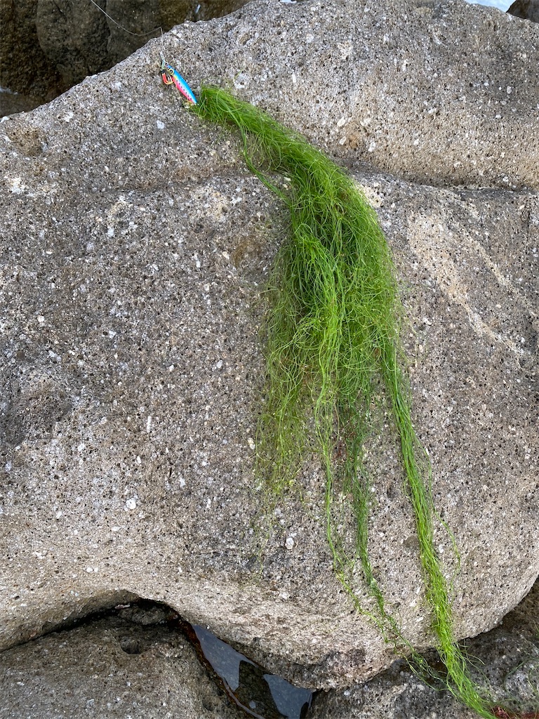 f:id:yasutsuchi2:20210627153215j:image f:id:yasutsuchi2:20210627153215j:image