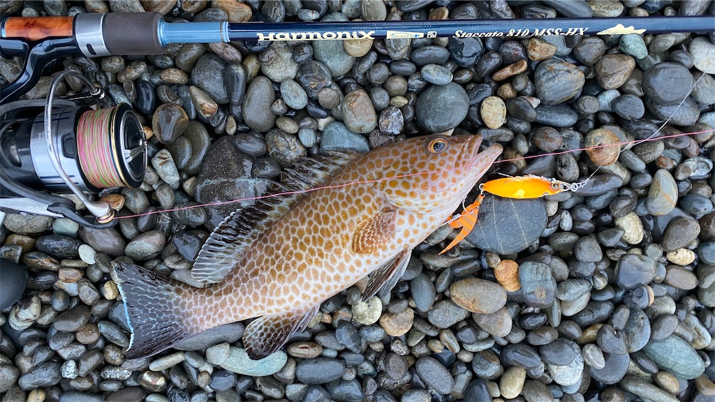 f:id:yasutsuchi2:20210630162903j:image