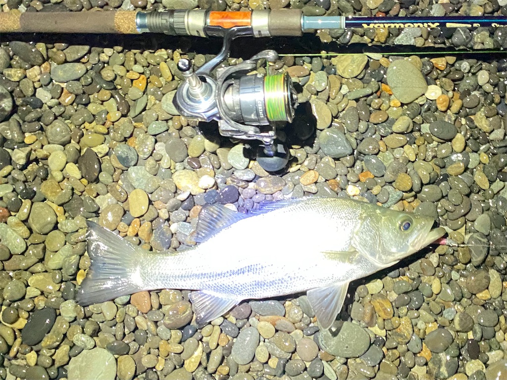 f:id:yasutsuchi2:20210705183142j:image