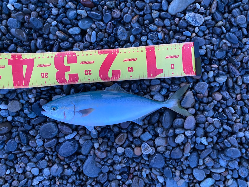 f:id:yasutsuchi2:20210705183201j:image