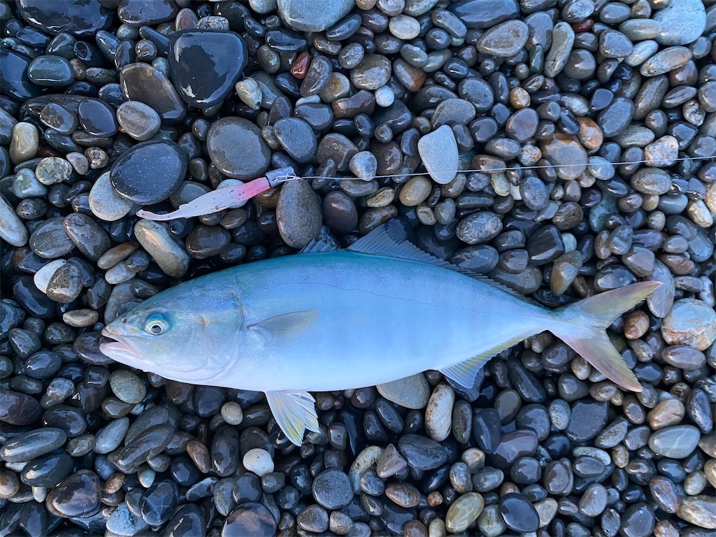 f:id:yasutsuchi2:20210705183355j:image