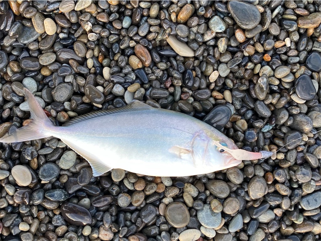 f:id:yasutsuchi2:20210705183425j:image