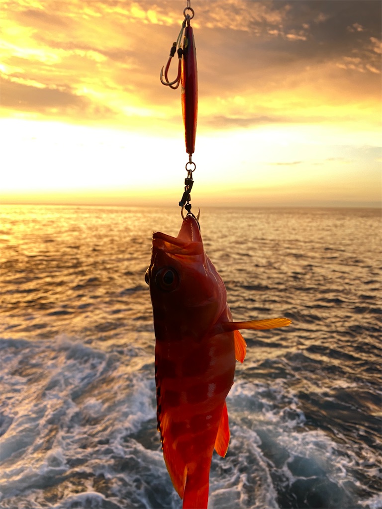 f:id:yasutsuchi2:20210711145437j:image f:id:yasutsuchi2:20210711145437j:image