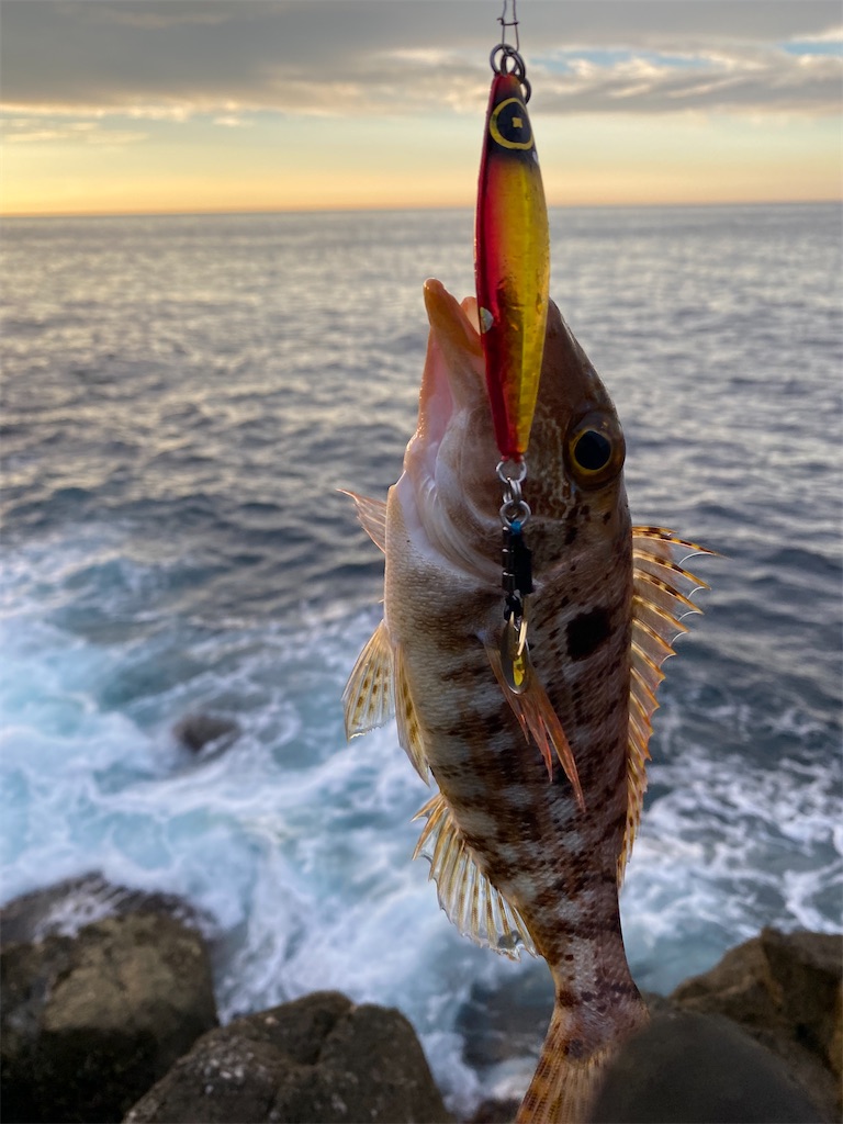 f:id:yasutsuchi2:20210711220731j:image f:id:yasutsuchi2:20210711220731j:image