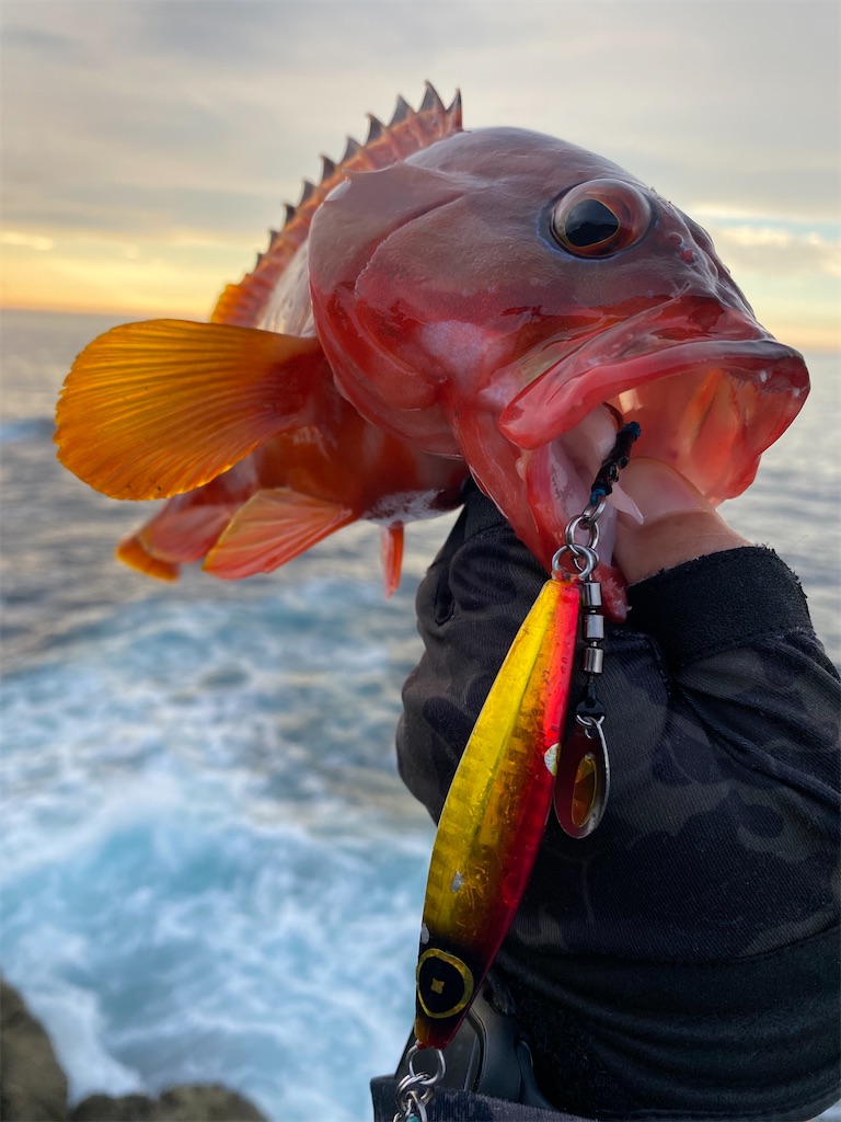 f:id:yasutsuchi2:20210711220734j:image f:id:yasutsuchi2:20210711220734j:image