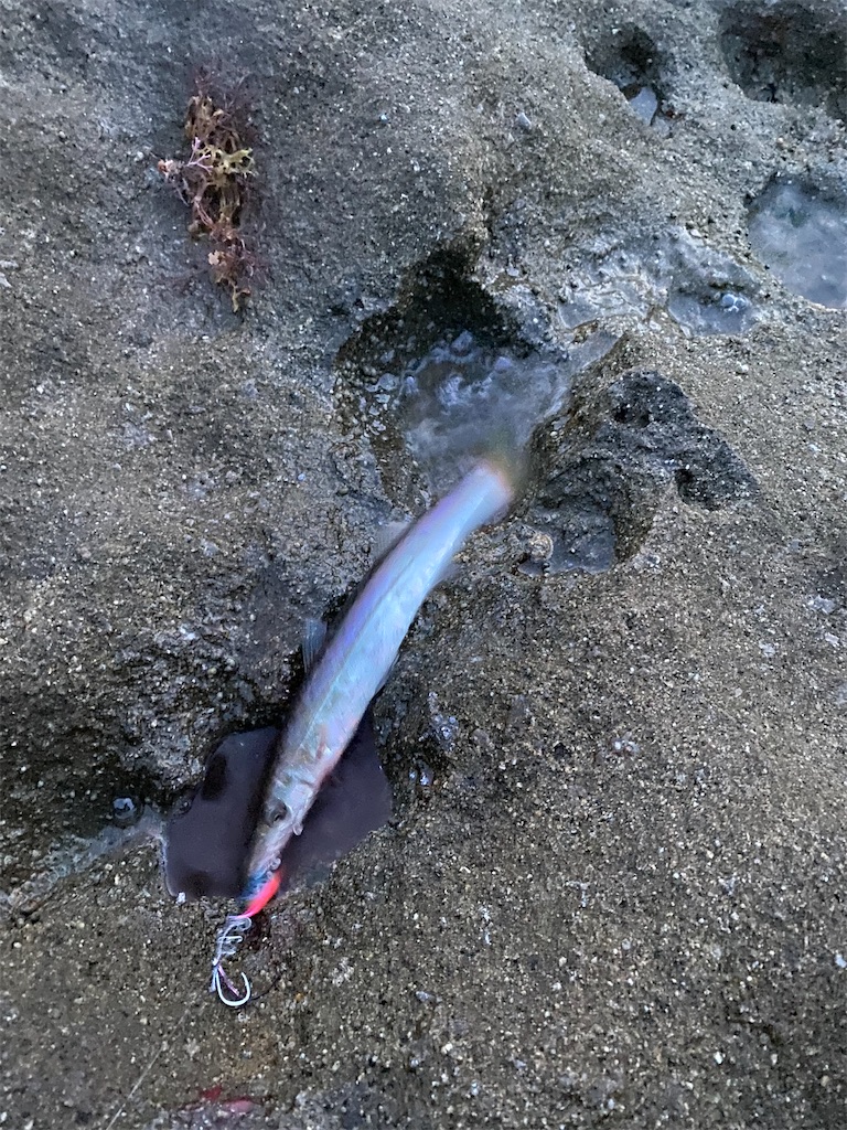 f:id:yasutsuchi2:20210716145156j:image f:id:yasutsuchi2:20210716145156j:image