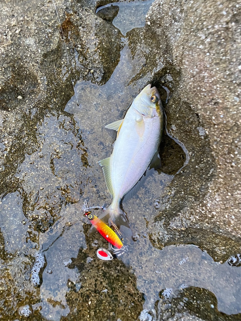 f:id:yasutsuchi2:20210716145310j:image f:id:yasutsuchi2:20210716145310j:image