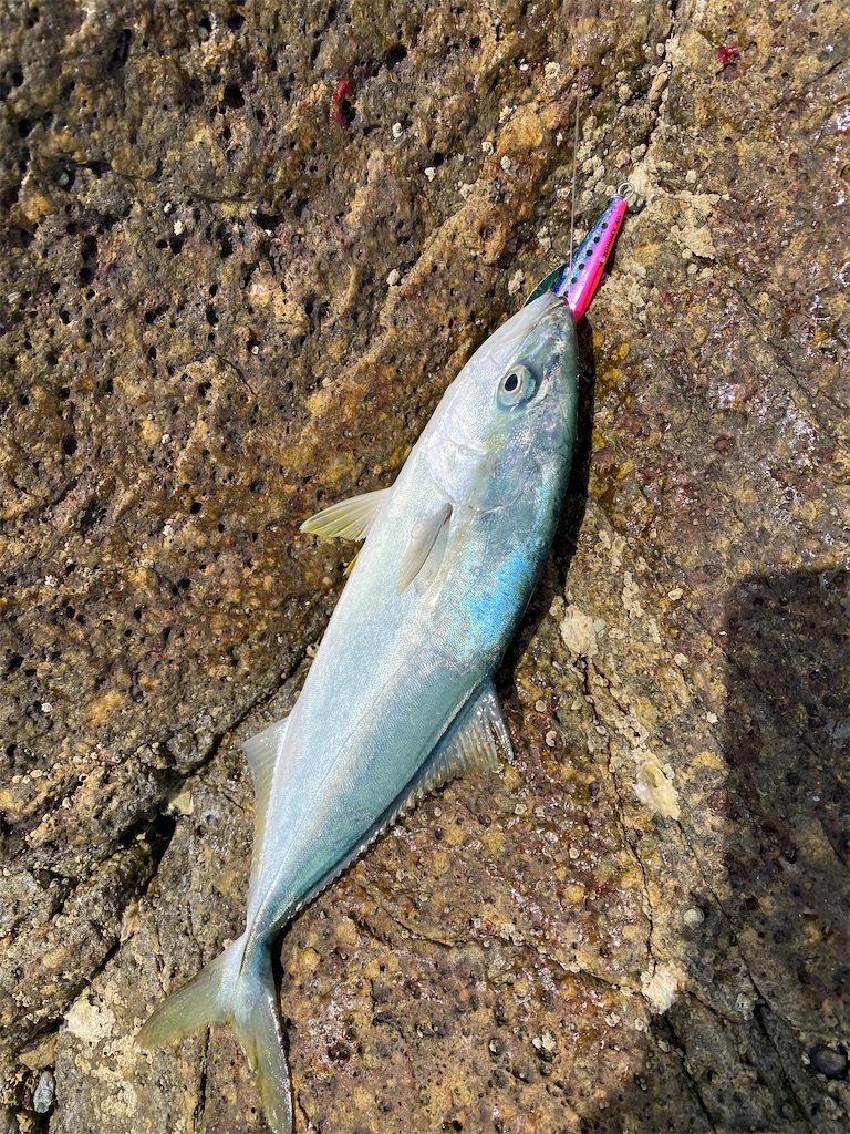 f:id:yasutsuchi2:20210716145427j:image f:id:yasutsuchi2:20210716145427j:image